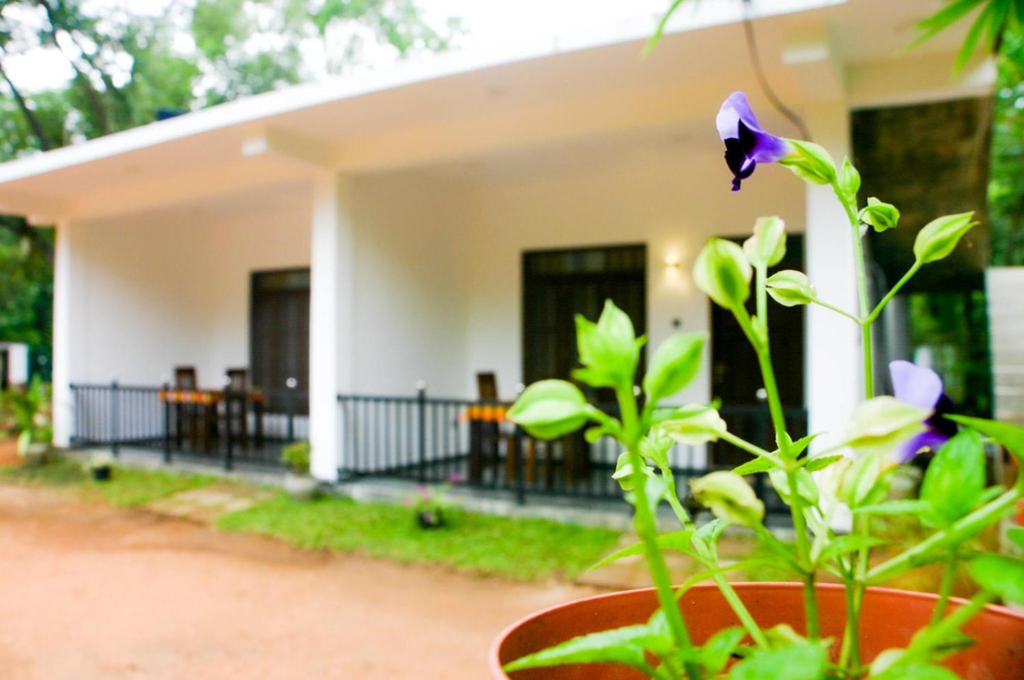 Sigiri Heaven Villa Sigiriya Exteriör bild